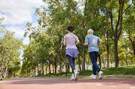 本菲卡官方：鲁伊-科斯塔成功连任俱乐部主席